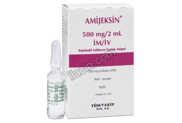 AMIJEKSIN 500 MG/2 ML IM/IV ENJ. SOL.ICEREN 1 AMPUL görseli