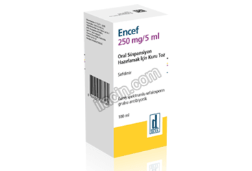 ENCEF 250 MG/5ML 100 ML ORAL SUSPANSIYON ICIN KURU TOZ görseli