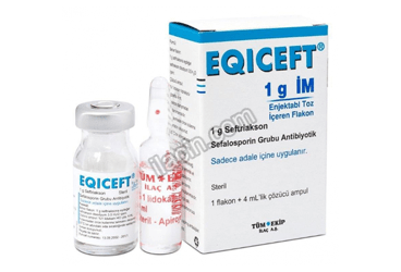 EQICEFT- IM 1000 MG 1 FLAKON görseli