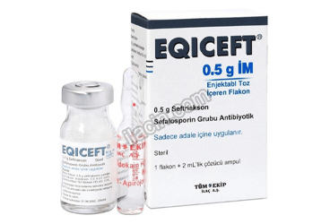 EQICEFT- IM 500 MG 1 FLAKON görseli