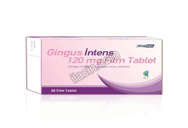 GINGUS INTENS 120 MG 30 FILM TABLET görseli