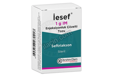 IESEF 1 G IM ENJEKSIYONLUK COZELTI TOZU görseli