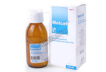 MOLCEF 100 MG//5 ML ORAL SUSPANSIYON HAZIRLAMAK ICIN KURU TOZ 100 ML görseli