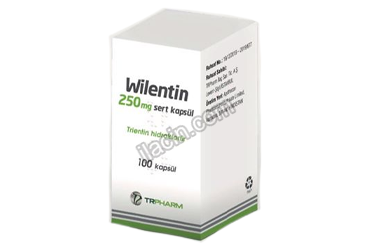WILENTIN 250 MG SERT KAPSUL ( 100 KAPSUL) görseli